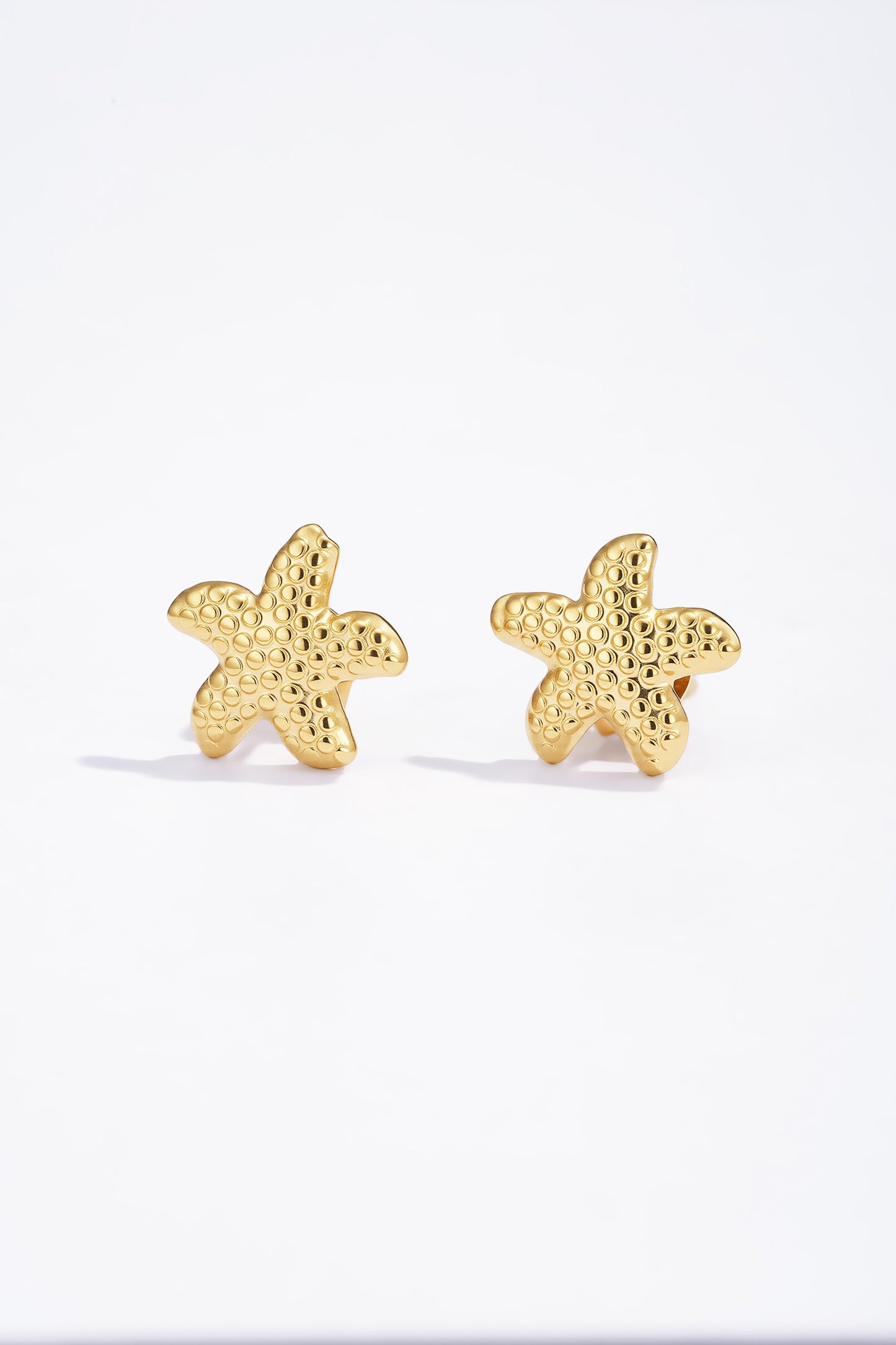 Stelle Marine