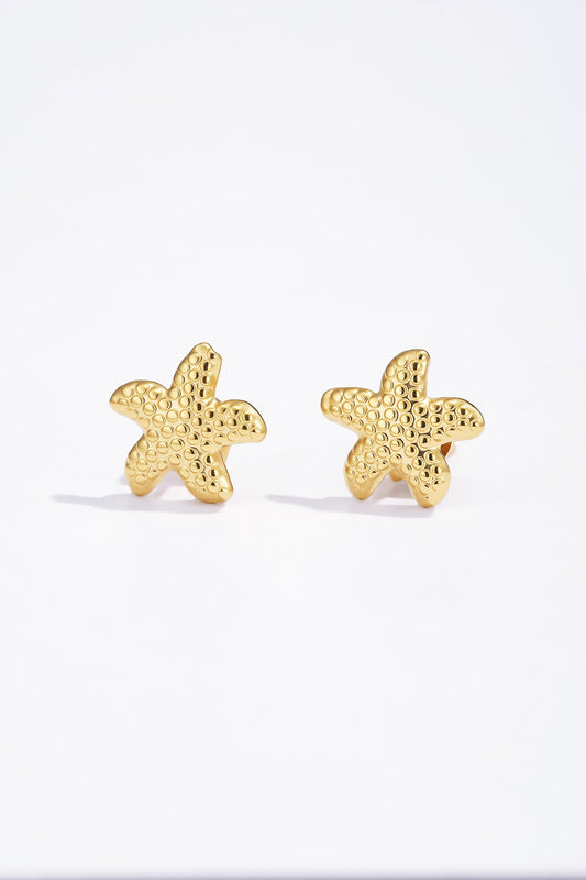 Stelle Marine